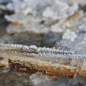 cristaux de glace de l'eau de mer en raison de températures de congélation extrêmes sur Johan Töpke