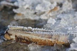 cristaux de glace de l'eau de mer en raison de températures de congélation extrêmes sur Johan Töpke