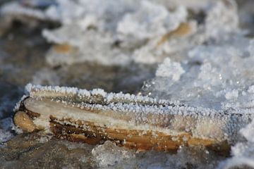 ijskristallen van zeewater door extreme vriestemperatuur