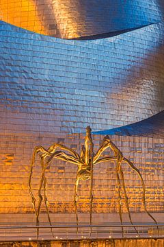 Het Guggenheim Museum, Bilbao van Henk Meijer Photography