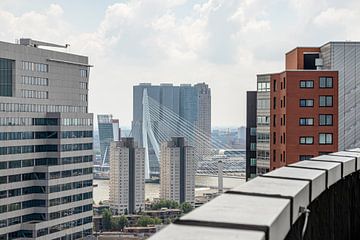 Die Erasmusbrücke, zwischen den Gebäuden von Martijn