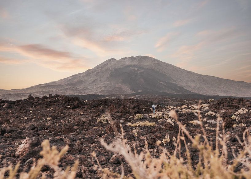The Teide by sunset by Sharon de Groot