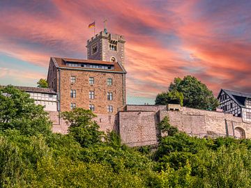 Kasteel Wartburg in Eisenach Thüringen van Animaflora PicsStock