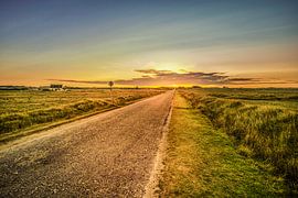 Endless Road by Fine-Art Landscapes