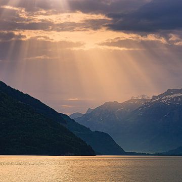 Het meer van Thun schittert onder een sluier van gouden zonnestralen van Henk Meijer Photography