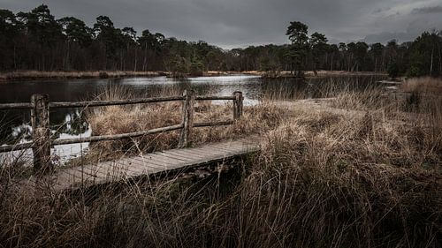 Oisterwijkse Bossen en Vennen, Witven