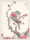 Dennengors en pruimenboom illustratie door Numata Kashu van Studio POPPY thumbnail