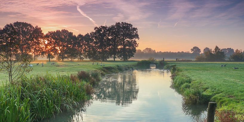 Zonsopkomst over de weilanden langs de Kromme Rijn par Arthur Puls Photography