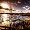 NDSM landscape van Marijn Bouwhuis