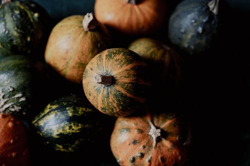 citrouilles/gourdes