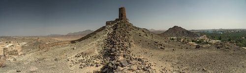 Trennmauer mit Turm zwischen Wüste und Dattelpalmen