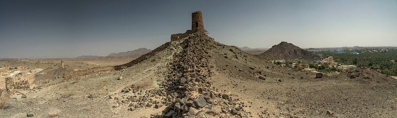 Separation wall with tower between desert and date palms by Ruud Overes