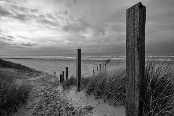 Natuurgebied Noordvoort van Peter Bartelings