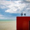 twee duiven die de horizon aan de kust overzien van ChrisWillemsen