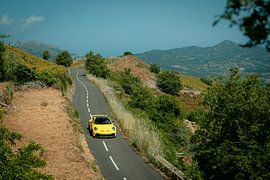 Porsche GT3 sur Ricardo van de Bor