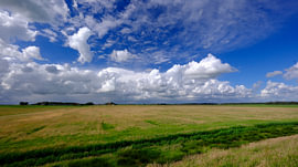 IJsselmeer coast by Sabrina de Vries