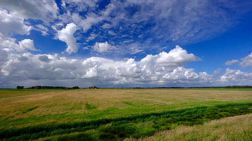 IJsselmeer-Küste