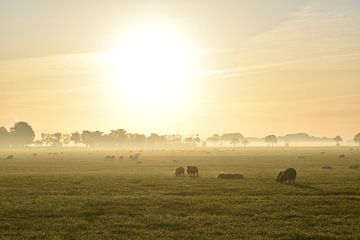 Gouden Herfst van Johanna Varner