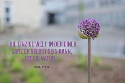 Wees jezelf!