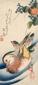Ando Hiroshige. Canards mandarins et plantes à fleurs