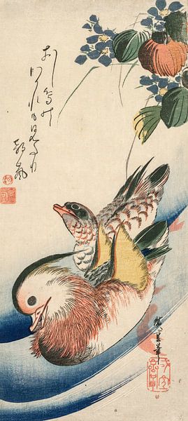 Ando Hiroshige. Canards mandarins et plantes à fleurs par 1000 Schilderijen