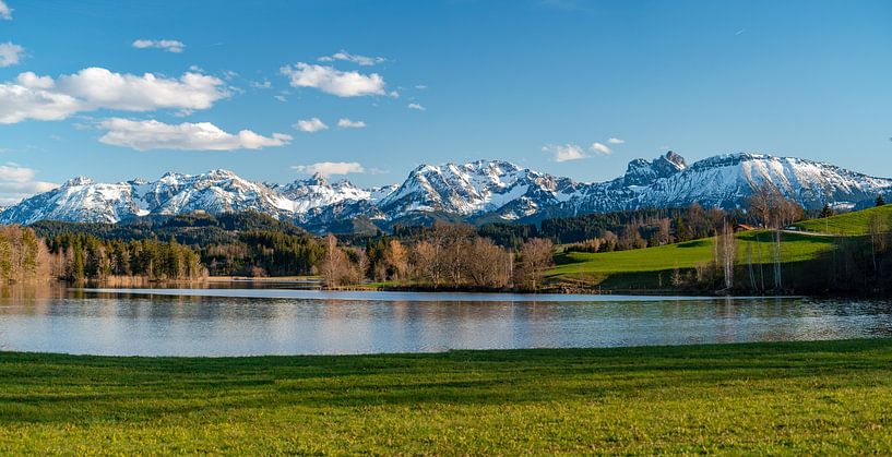 ein schweifender Blick über dem Schwaltenweiher auf die Allgäuer Berge von Leo Schindzielorz