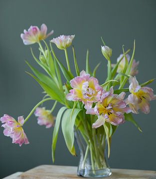 tulpen van Urspictures