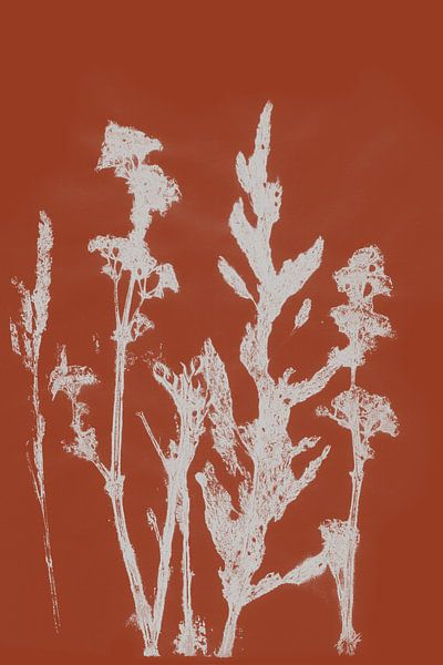 Modern Botanicals. Meadow flowers in terracotta no. 1 by Dina Dankers