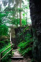 Mysterious Forest Path with Wooden Stairs along a Rocky Cliff