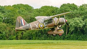 Landung Westland Lysander.