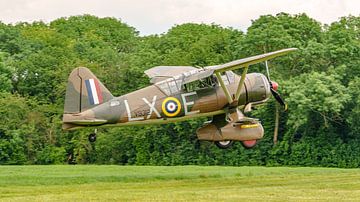 Landende Westland Lysander. van Jaap van den Berg