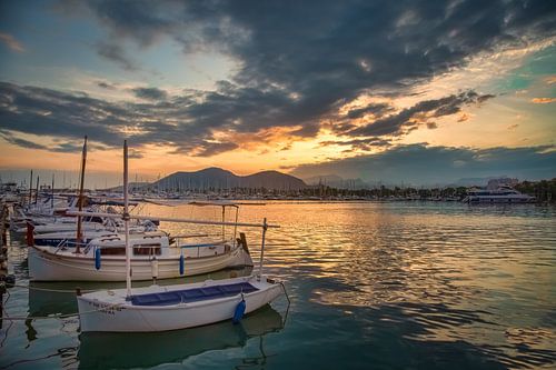 Bay of Alcudia