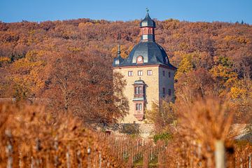 Schloss Vollrads in den Weinbergen oberhalb Oestrich-Winkel, Rheingau by Christian Müringer