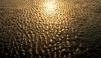 0205 Gold