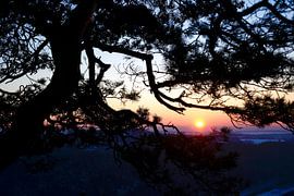 Montagnes de grès de l'Elbe sur Thomas Jäger