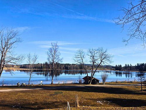 Spring awakening by the lake