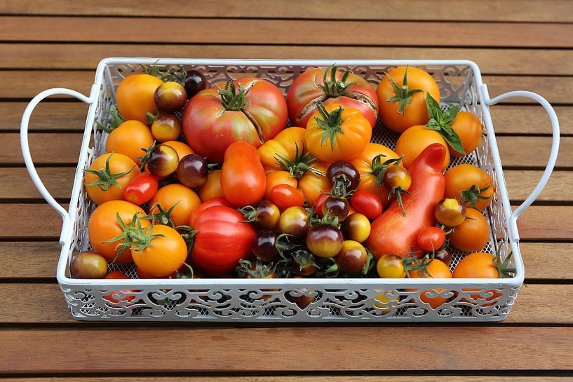 Stilleven met tomaten van Karina Gebert