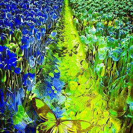 The tulip field by Helga Blanke