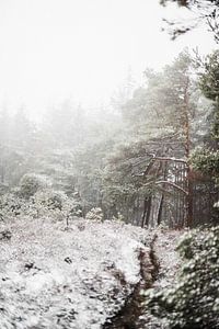 Lemelerberg in de sneeuw van Holly Klein Oonk