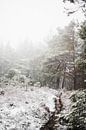 Lemelerberg in de sneeuw van Holly Klein Oonk thumbnail