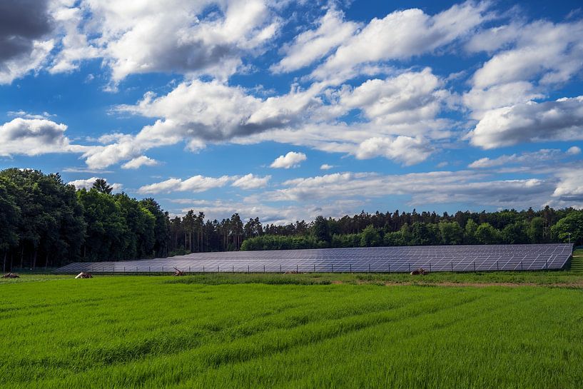 Groene energie opwekken met een zonnepark van ManfredFotos