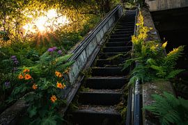 Abandoned staircase in the countryside by Poster Art Shop