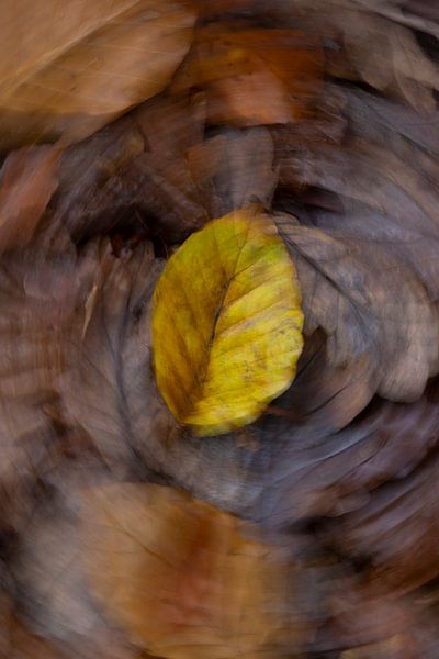 Effect with autumn leaves by Sander Groenendijk