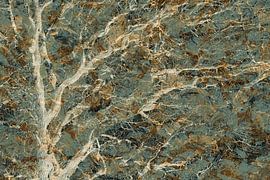 Herbstimpression von Yanuschka | Fotografie Noordwijk