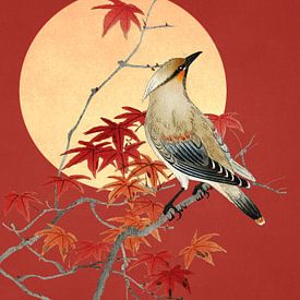 Plague Bird by Marja van den Hurk