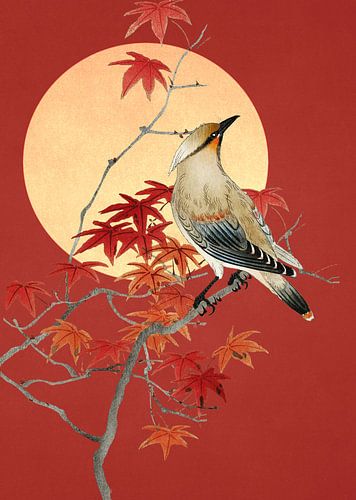 Plague Bird von Marja van den Hurk