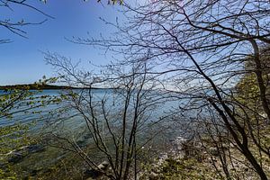 Am Ufer in der Goor, Insel Vilm, Lauterbach auf Rügen