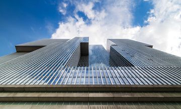 Imposing Architecture: The Rotterdam from a Frog's perspective
