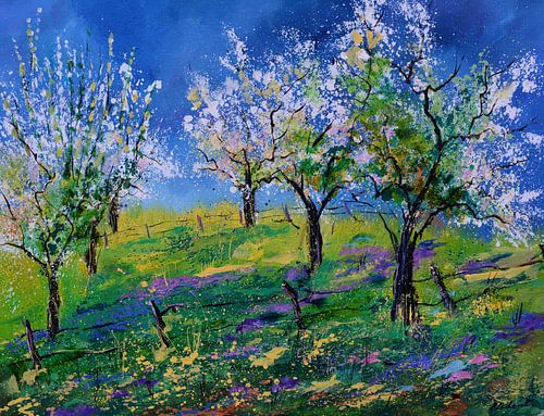 Boomgaard in het voorjaar