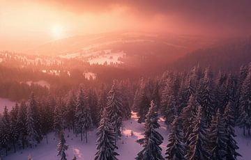 Winterbos van bovenaf van fernlichtsicht